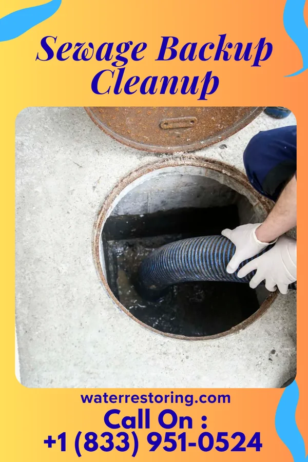 Sewage Backup Cleanup in Royer, PA